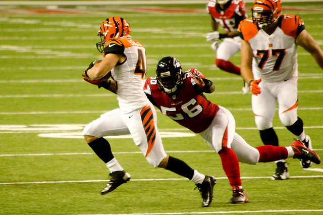 bengals cincinnati bengals