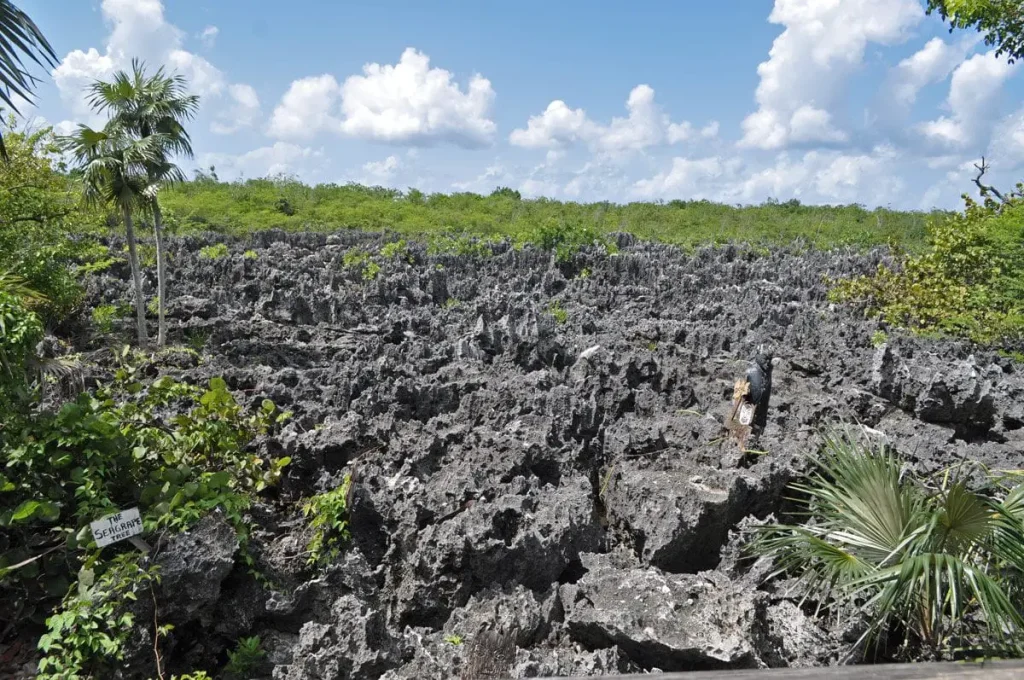 earthquake cayman islands
