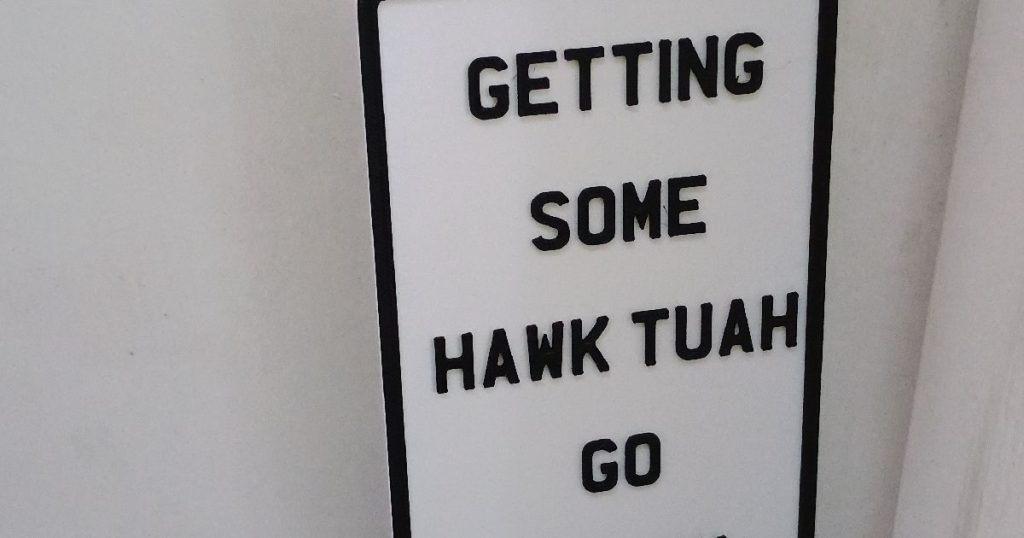 hawk tuah girl memecoin