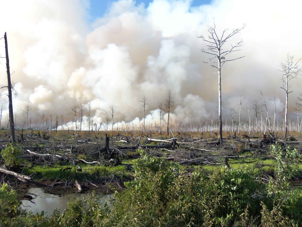 kenneth fire west hills