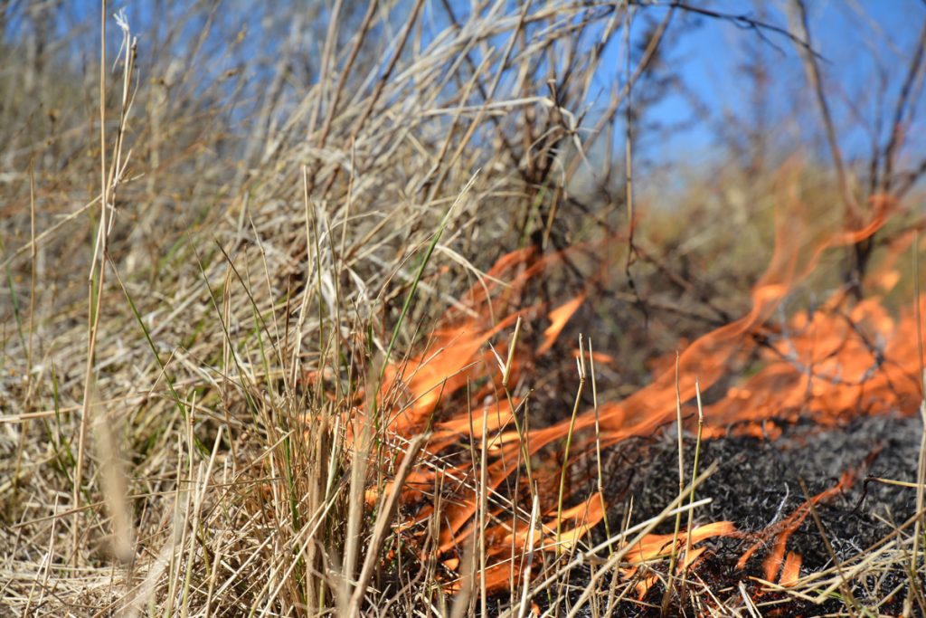 la fires update