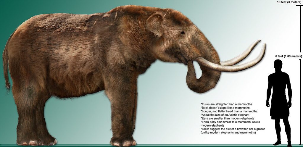 mastodon