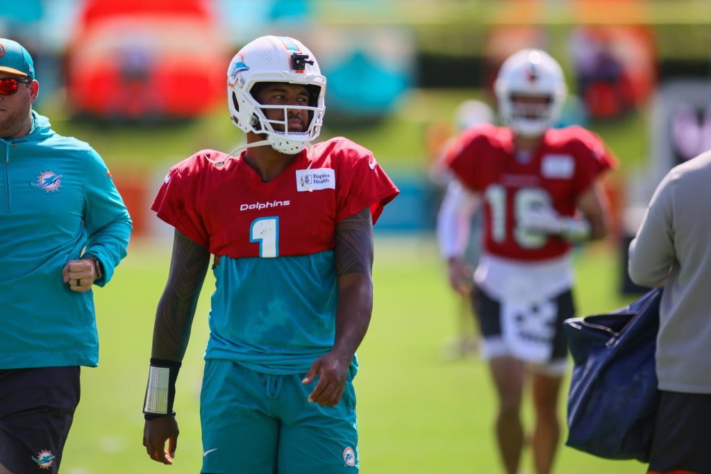 miami dolphins