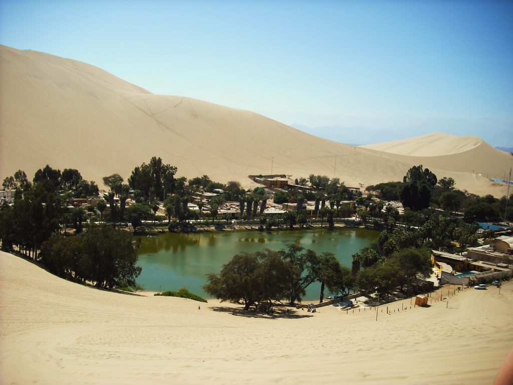 oasis
