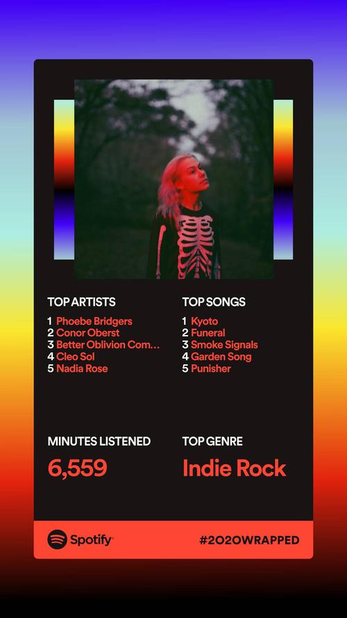 spotify wrapped 2024 spotify wrapped