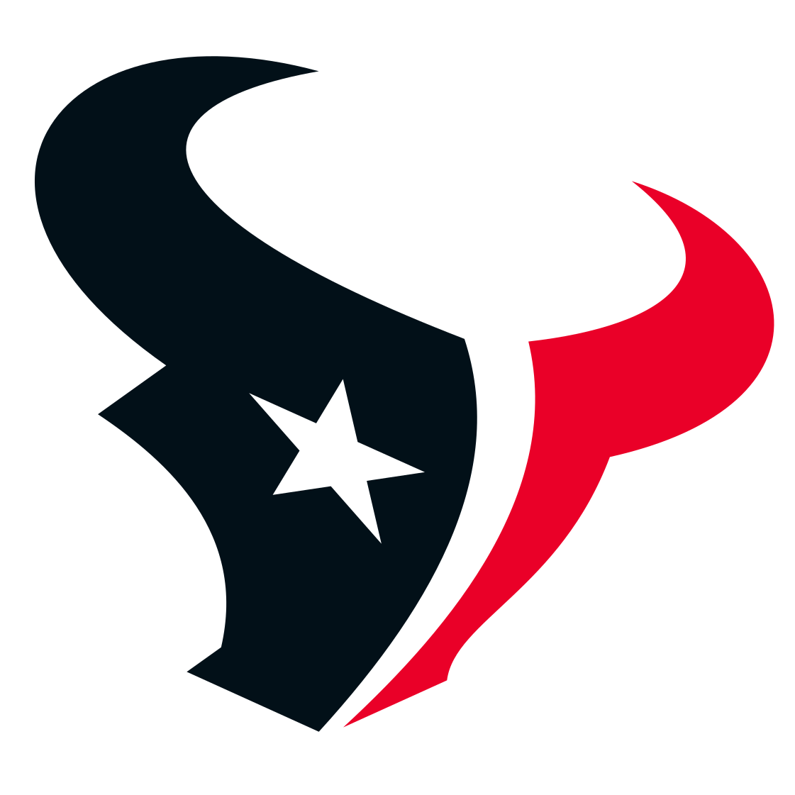 texans