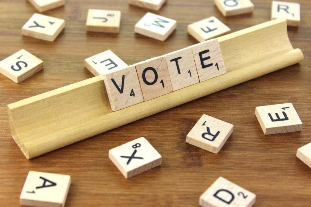 vote