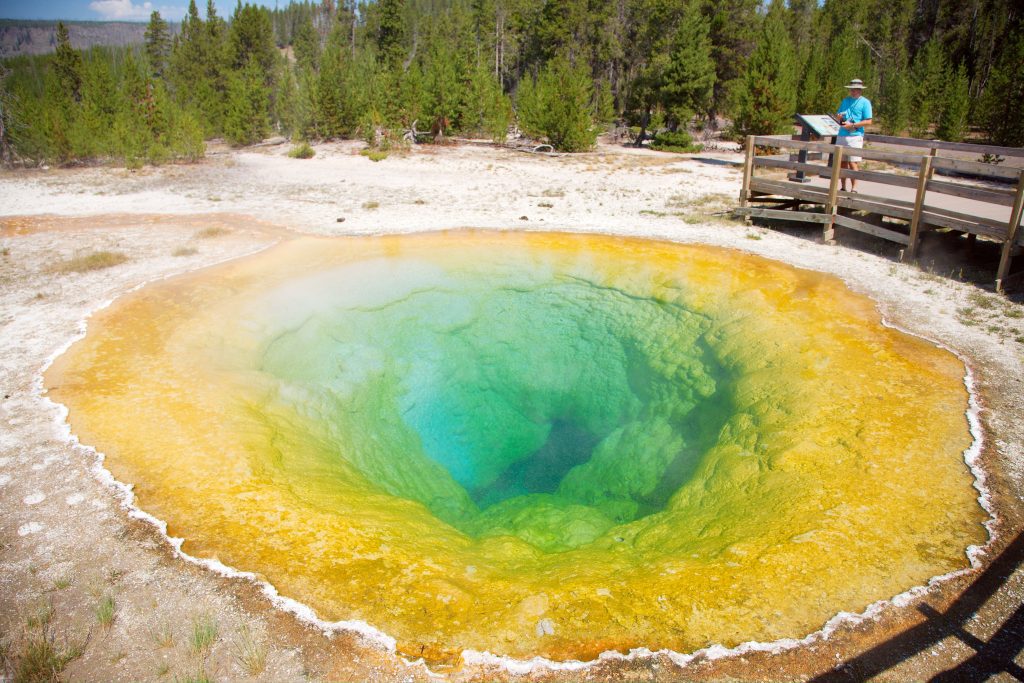 yellowstone season finale